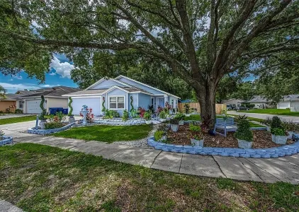 Edward Scissorhands House